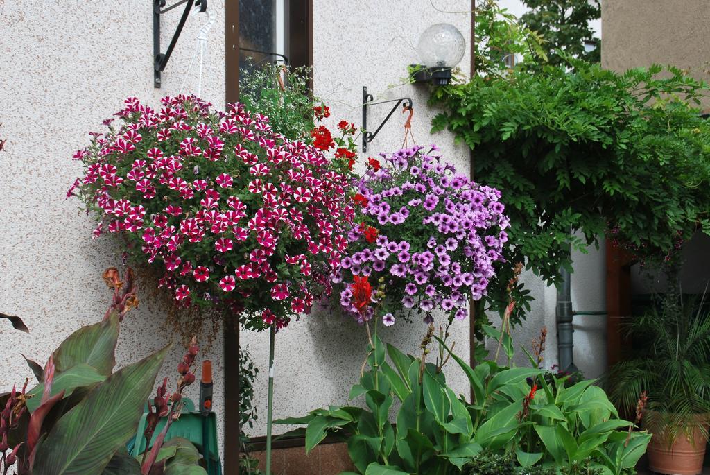 Pension Borna Buitenkant foto
